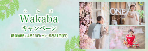 Wakabaキャンペーン