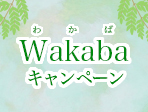 Wakabaキャンペーン